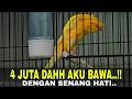 Download Lagu RASMI BOX 2025 MENGGILA‼️GAK ADA YANG GAK SEREM...