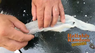 Download How to get boneless fillet from asian carp MP3