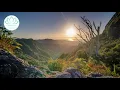 Download Lagu Diepe ontspanningsmeditatie om onrust los te laten en je veilig te voelen