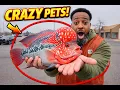 Pet Haven Sterling Heights Michigan Full Pet Store Tour