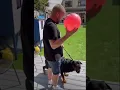 Dog trainer gives tips on how to protect a dog from a dog attack