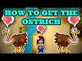 Stardew Valley 1 5 How to get the ostrich Full Tutorial