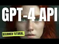 GPT-4 API in JavaScript for BEGINNERS - Visual Input
