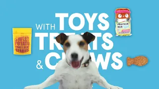 Make Your Doggo Ridiculously Happy with BarkBox