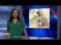 Reports of missing mail in Atlanta