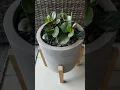 Chill Summer Patio