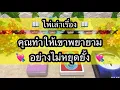 Download Lagu Random for You EP 1197 #คุณทำให้เขาพยายามอย่างไม่หยุดยั้ง ✈️✈️💘💘🏠🏠