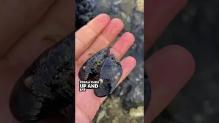 Boat LIFE: What we do when we are OUT OF FOOD