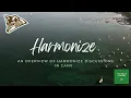 Harmonize Discussions in Canvas