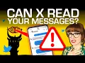 X s Encrypted DMs PRIVATE or NO