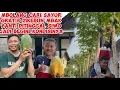 Download Lagu MBOLANG CARI SAYUR GRATIS DIKEBUN MBAK YANTI  DITINGGAL SIWO JADI  BEGINI KONDISINYA