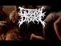 Download Lagu GUTTURAL DISEASE - WEST JAVA CENTRAL LEGION