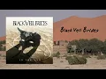 Black Veil Brides - In The End (Official Audio)