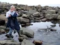 Gannet (Guga) release