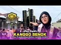 Lagu KANGGO SENOK • OTING SAPUTRI • ANDI PUTRA 3 • Show Prajawinangun Wetan Kaliwedi Cirebon 