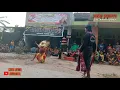 Download Lagu BIMO WIJOYO - Bujang Ganong Vs Kewan Alas Banteng Kembar GaLak Live Baron Nganjuk // Merpati Audio.