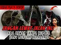 Download Lagu BISIKAN ARWAH MENCARI KEPALANYA YANG HILANG! Kisah Nyata Horor