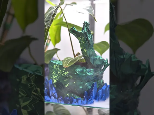 Crystal Dragon Self-Watering Planter video thumbnail