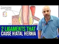 Download Lagu Fix Your Acid Reflux with These 2 KEY Ligaments | Hiatal Hernia | NYC chiropractor