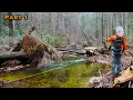 Fly Fishing Crystal Clear Water for BIG Trout North Georgia Pt 1 of 2