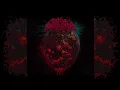 Conception: A Nameless Fear lyrics video