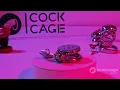 Ultimate Love Lock Flat-Design Male Metal Chastity Cage