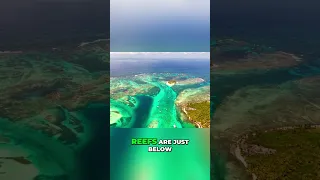 Turquoise Means Danger Below #Shorts #sailing