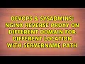 nginx reverse proxy on different domain for different location with servername path