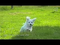 [Playlist] 비도 그쳤는데 주말에 바람 쐬러 가자🌈🌈🌈 | 맑아진 하늘 만큼 상쾌하게 기분이 좋아지는 국내 노래모음 플레이리스트 광고없음