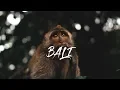 Download Lagu BALI | Cinematic video