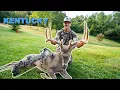 Urban Kentucky CEMETERY BUCK Goes Down
