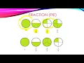 Fraction Wall Grade 2