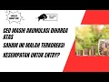 Lagu CEO Masih Akumulasi Diharga Atas. Saham ini Malah Terkoreksi. Kesempatan Entry?