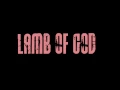 Lamb Of God - Erase This [lyrics]
