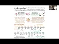 DMSO biochemistry
