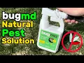 Protect Your Haven BugMD Mosquito Amigo Pest Control Spray Review Defense Against Pests