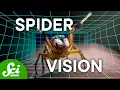 That Time We Put Spiders in VR
