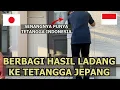 Download Lagu REAKSI TETANGGA JEPANG KETIKA TIBA2 DIBERIKAN SEMANGKA HASIL LADANG