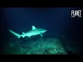 DEEP PACIFIC OCEAN | Why Is the World's Deepest Abyss So Dangerous?