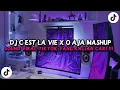 Download Lagu DJ C EST LA VIE X O AJA YAKAN MASHUP I WANNA FEEL LIKE VIRAL TIKTOK