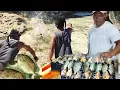 Download Lagu Tehnik Jitu.! Menangkap Ikan Dgn Lemparan Batu | Catch \u0026 Cook