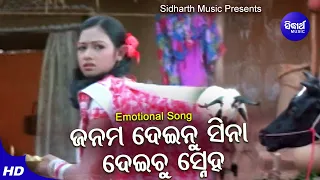janama deinu sina deichhu sneha sad film song nibedita archita sidharth music