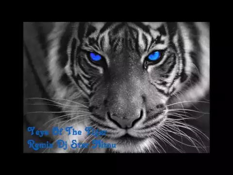 Download MP3 Eye Of The Tiger [Remixed By  Dj Star Nitou] 2016