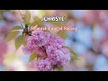 CHRISYE - Selamat Tinggal Sayang