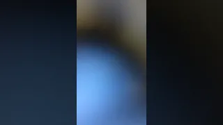 Personalized Settings Issue Solved 