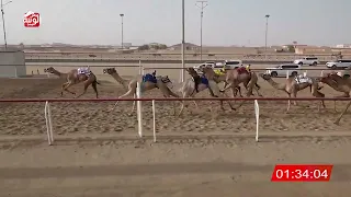 ش 16 شاهين لـ حمد محمد علي الدرعي 4 43 28 شارة الشيخ طحنون 2025 8 5 لقايا الوثبة 