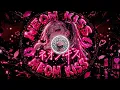 ネオン・キス — NEON KISS — BEATORYX | Japanese Montagem🔥