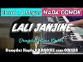 Download Lagu LALI JANJINE - Versi Dangdut Koplo KARAOKE rasa ORKES || Nada Cowok