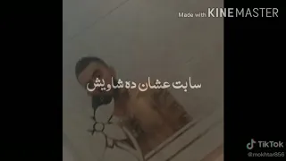 طارد ده فيه تفتيش دندنها