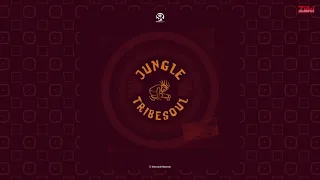 tribesoul jungle official visualizer 